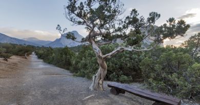 Судак и Новый Свет- жемчужины Восточного Крыма. — фото 14