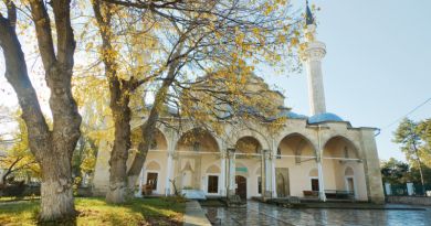 Евпатория и "Розовое" озеро. — фото 6