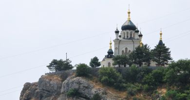 «Императорский купаж: Секреты Массандровского дворца, магия Никитского сада и легенды винных подвалов» - фото 18