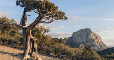 Судак и Новый Свет- жемчужины Восточного Крыма. — фото 5