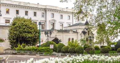 "Новые локации и впечатления: Воронцовский и Ливадийский дворцы, Ялта и морская прогулка" — фото 4