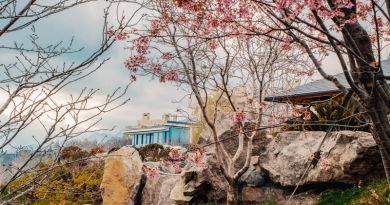 "Мрия". Японский сад "Шесть чувств" и "Винный парк". — фото 10