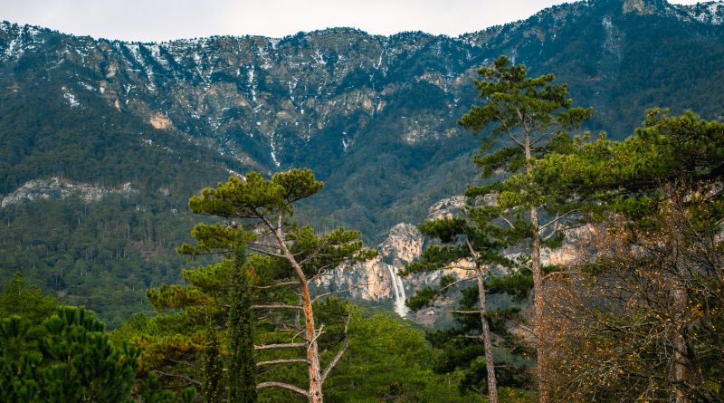 Фото Модный маршрут:  Ай - Петри. Озеро черепах. Имение Харакс. - вид 7